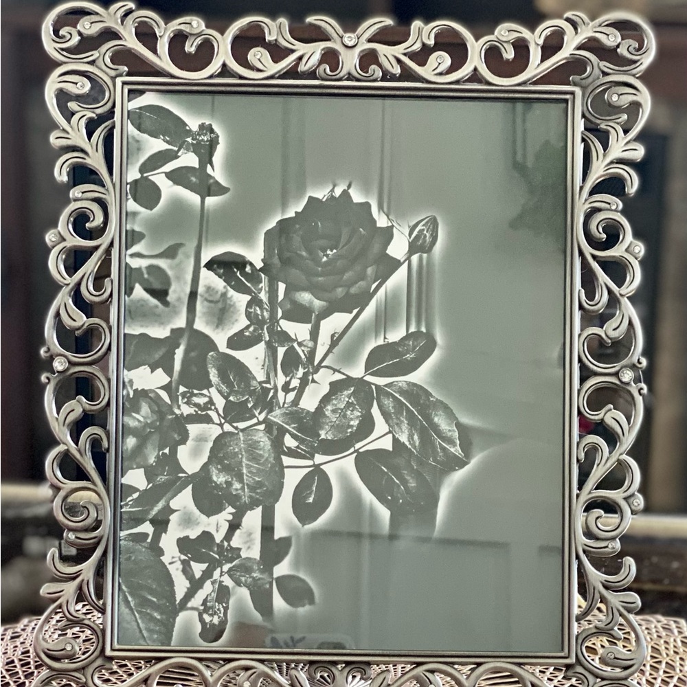 8X10 Circle of Life photography piece with frame.